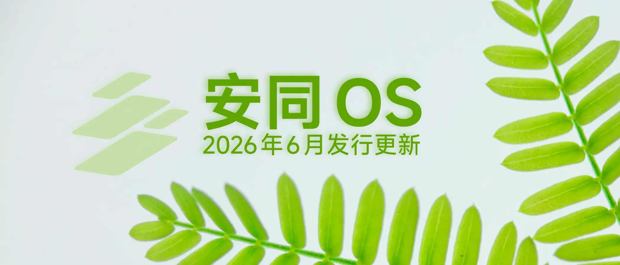 2026 年 6 月发行更新