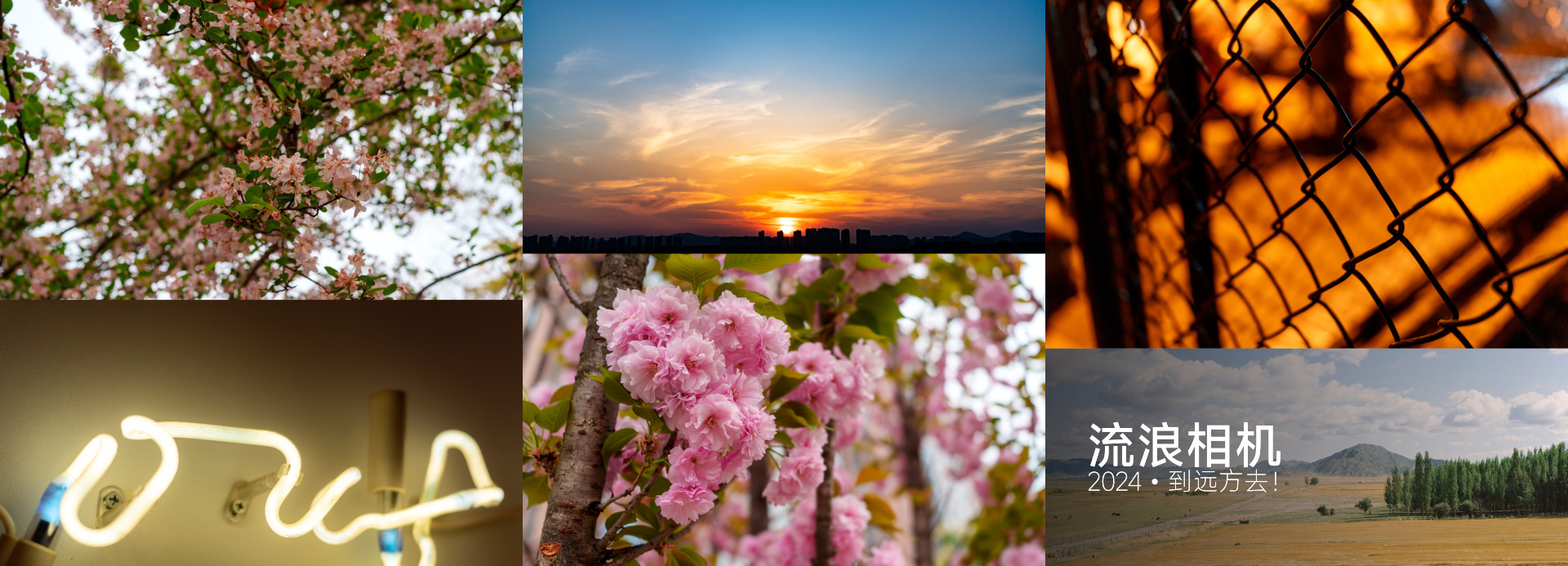 流浪相机 2024 部分投稿作品图赏