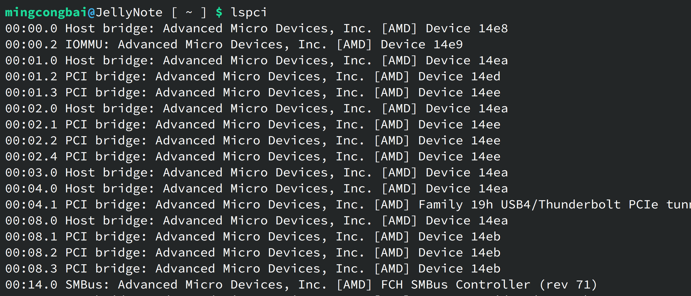 以联想 ThinkBook 14+ 2024 AMD 版为例,许多 PCI 设备的型号信息均有缺失