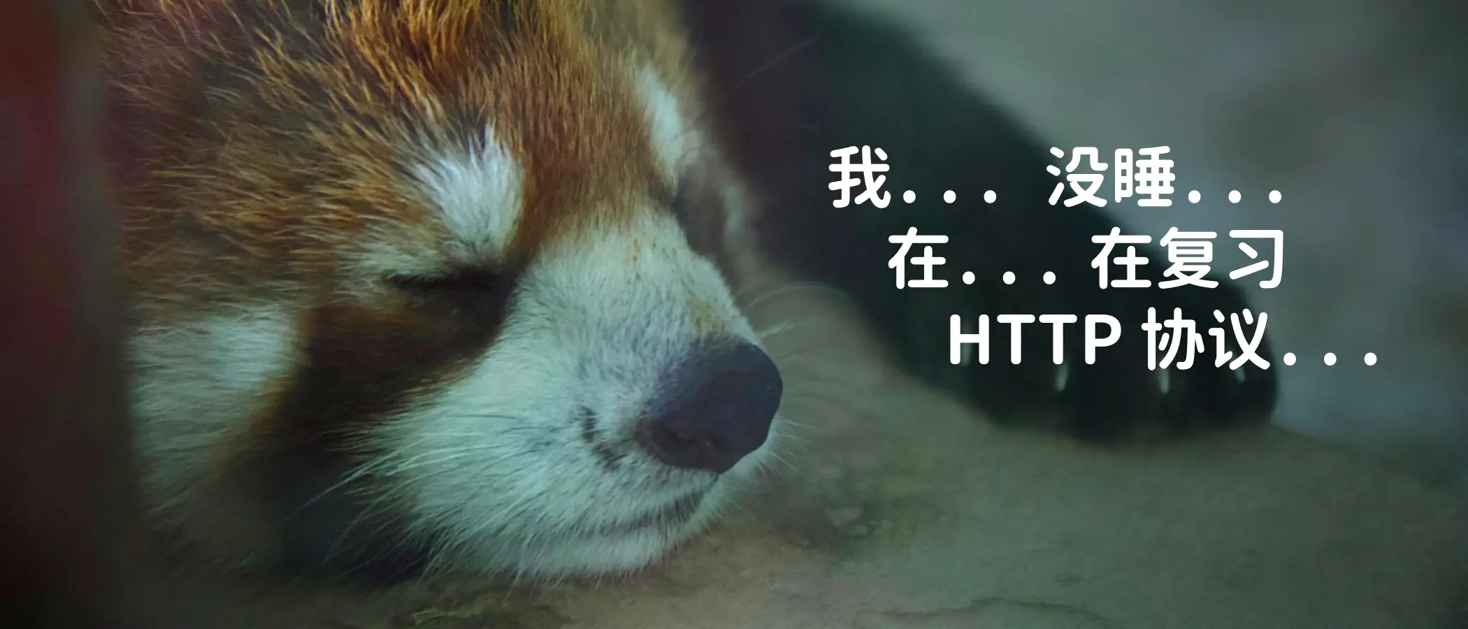 HTTP 协议要熟记！