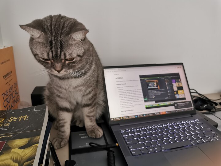 Attending Virtual AOSCC 2020 (Telegram: @o0_0b).