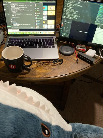 Attending Virtual AOSCC 2020 (Telegram: @TheSaltedFish).